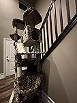 Review Image by Maine Coons of America LLC