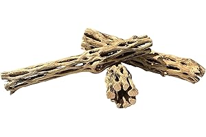 Cholla Wood Aquarium Decor for Pets