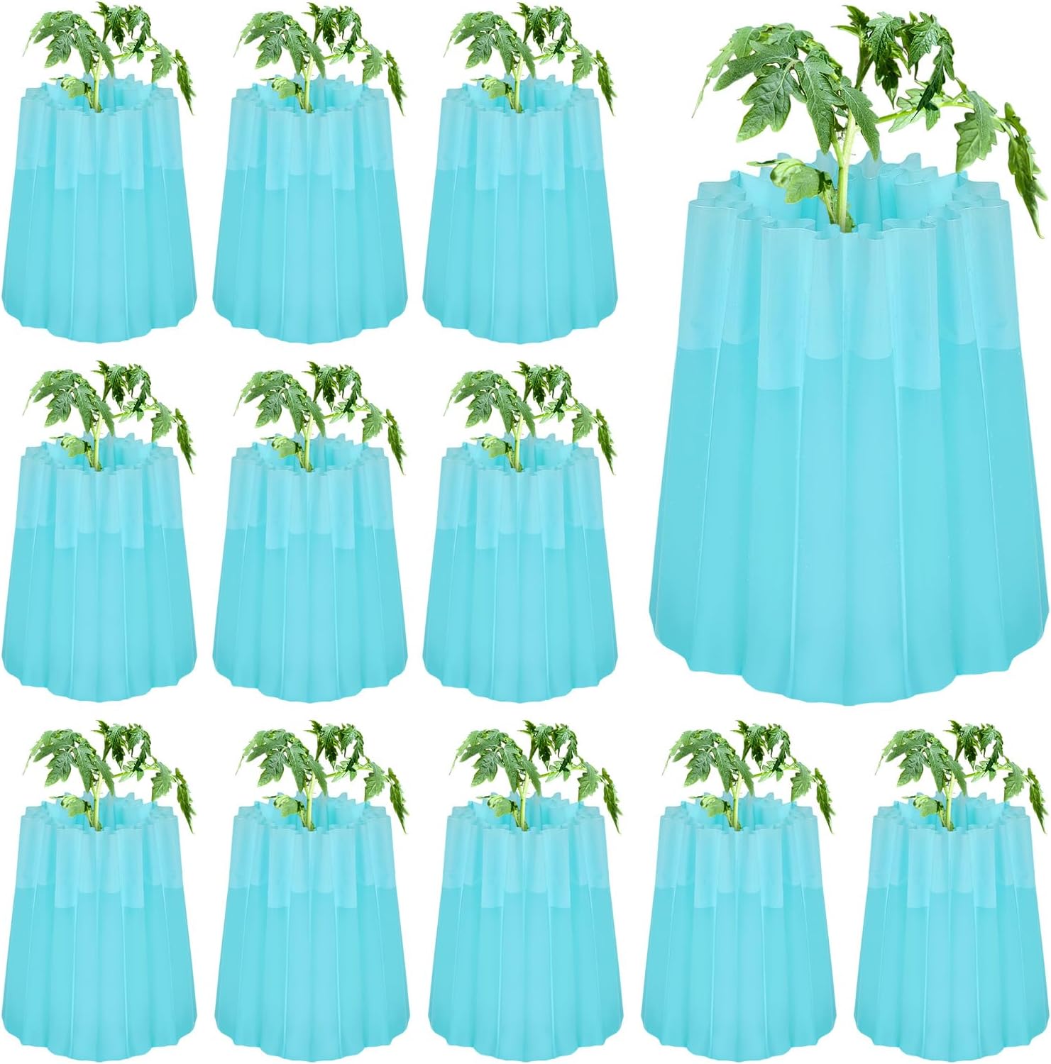 Geetery 12 Pcs Gardener Insulating Plant Protector Early Season Plant Protector Wall of Water Tomato Gardening for Antifrost Cold Weather