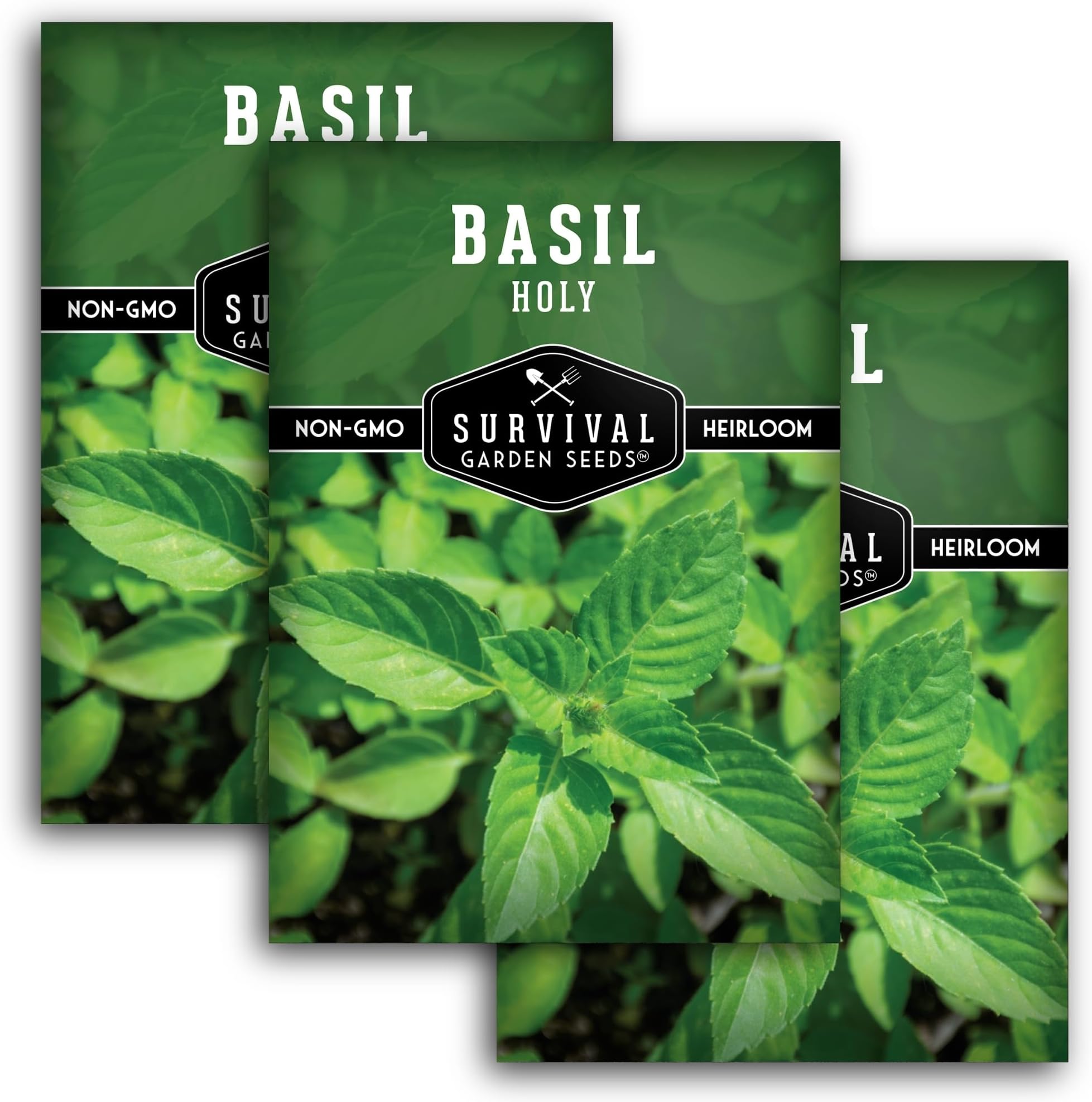 Holy Basil Seed for Planting - Indian Sacred Herb Tulsi Seeds to Grow in Your Home Vegetable Garden - Non-GMO Heirloom Variety - Survival Garden Seeds (3 Packs)
