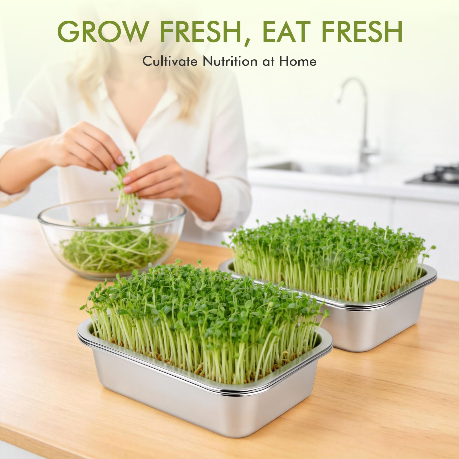 Set di 2 ciotole per germogli in acciaio inox per germogli, 26 x 19 cm, seed sprouter vassoio, set per la coltivazione di serre, ciotole per crescione, ciotole per germogli, microgreens