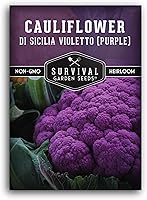 Violetto di Sicilia Purple Cauliflower Seeds | Heirloom Italian Non-GMO Open-Pollinated | Survival Garden Seeds for Vibrant Violet Heads