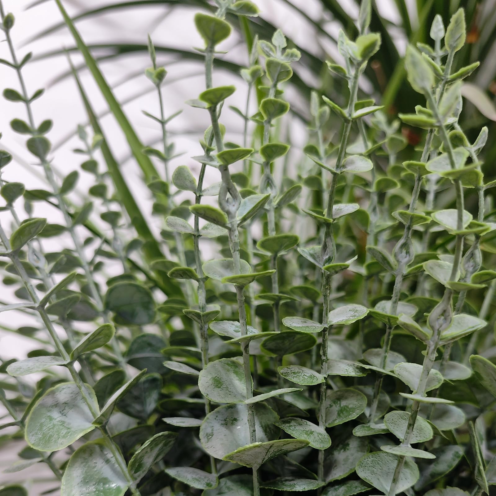 50 Piezas Tallos de Eucalipto Artificiales Ramas de Eucalipto Falsas para Decoración del Hogar, Decoración de Bodas