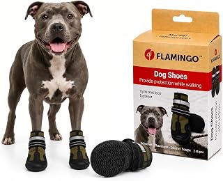 hundeschuhe - Glea - 2 Stück - grün - XL - 8,2x7,7x14,4 cm - Polyester - Harte Sohle - rutschfest - reflektierend
