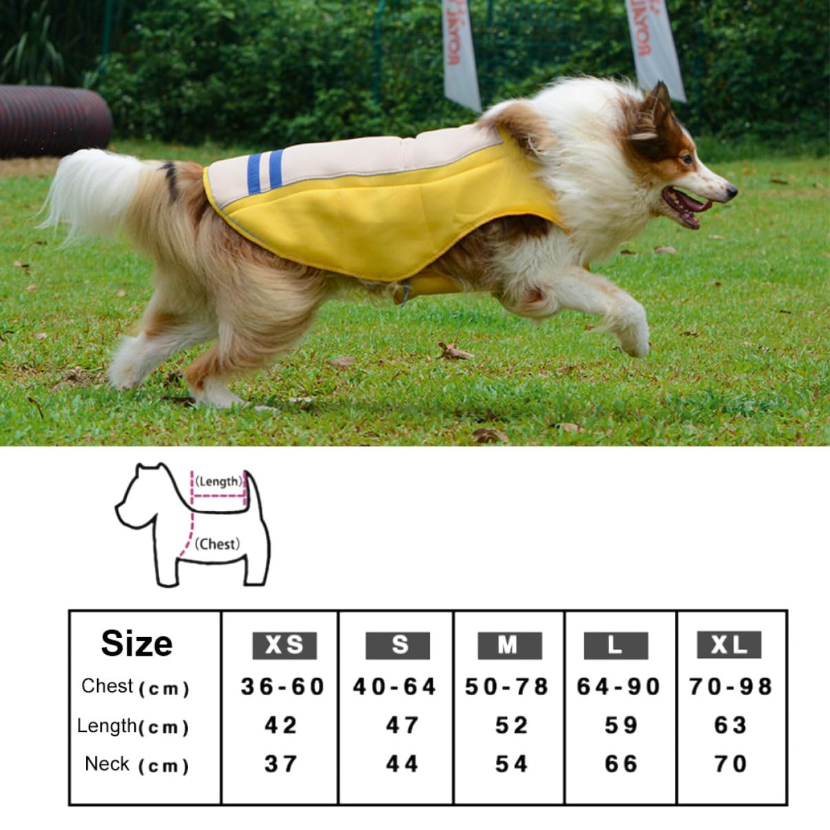 Gilet Rafraîchissant pour Chien Jaune XS en Polyester | Vêtement D’extérieur, Ultra Respirant et Lavable, Coupe Adaptée aux Tailles Xs à Xl