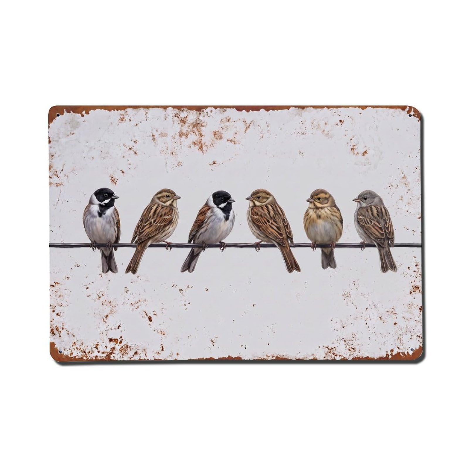 Vintage Retro Birds Reed Bunting Metal Tin Sign
