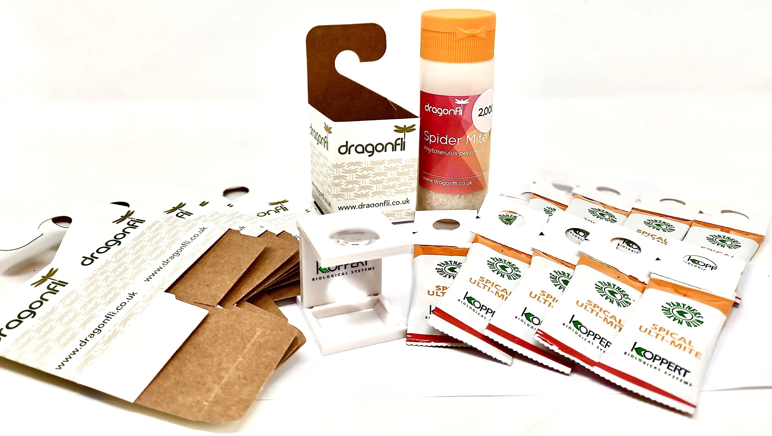 Dragonfli Spider Mite Killer Bundle: 10 Californicus Sachets, 2,000 Phytoseiulus Predators, 10 Distribution Boxes + Free Hand Lens - The Complete Natural Protection Against Spider Mite