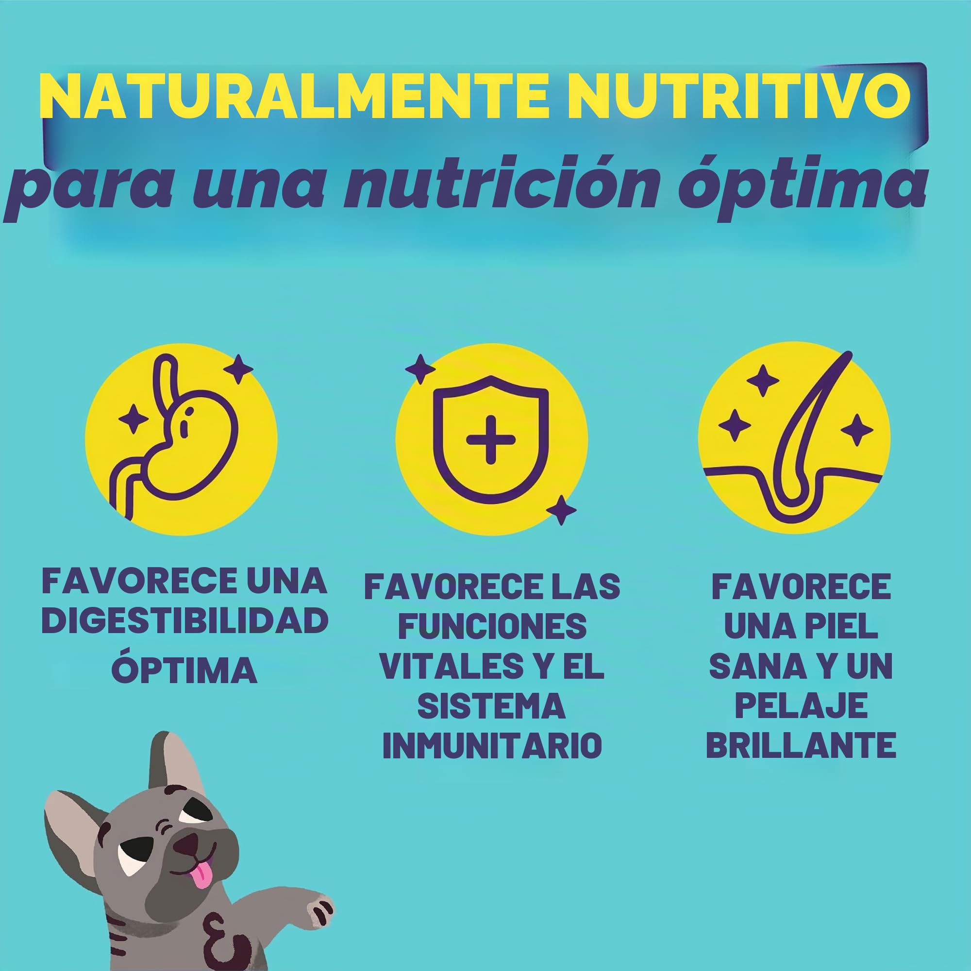 Edgard & Cooper Pienso para Perros, Adultos, (Cordero, 12kg), Alimento seco Natural sin Cereales, Carne Fresca y sin azúcares añadidos, proteína de Calidad, peinso hipoalergénico