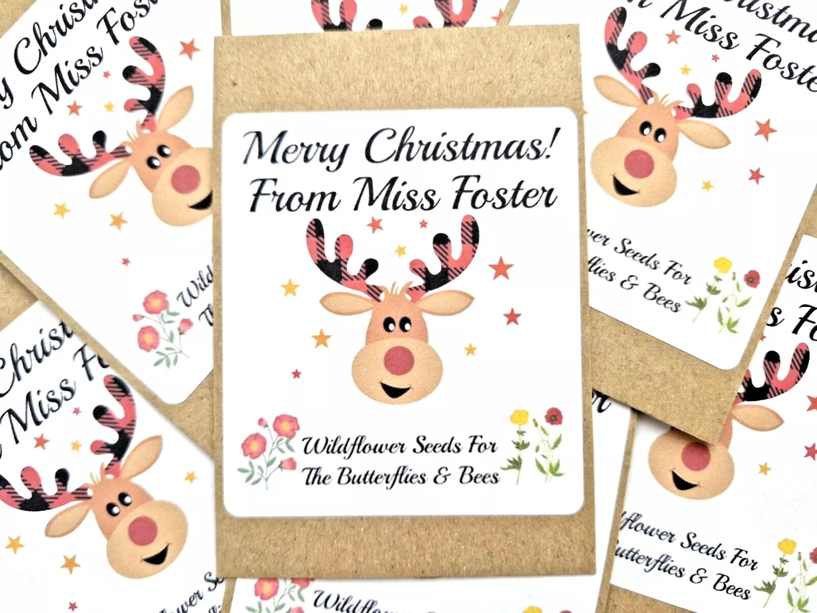 Personalised Teacher to Pupil Wildflower Seed Packs Christmas Gifts Reindeer (48)