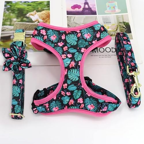 Miniatura 7 de Beirui Lindo juego de collares, arneses y correas para perro hembra, juego de collar y correa ajustable con flor, arnés de malla suave para