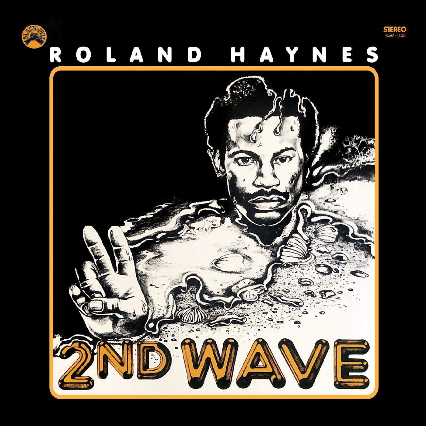 HAYNES, Roland - 2nd Wave - Vinyl (limited blue & black swirl vinyl LP)