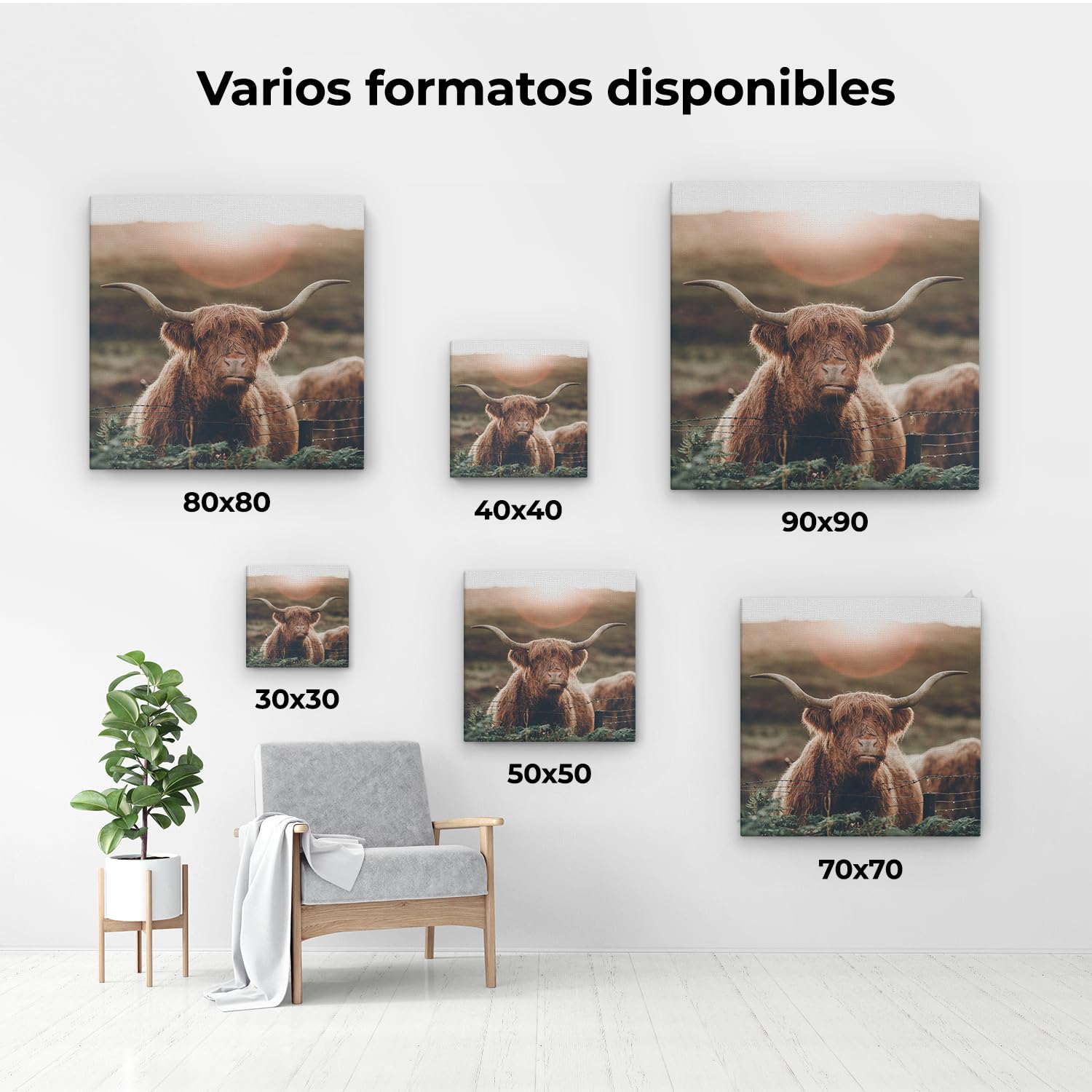 Artaza Cuadros Decoración Salón Modernos Vaca Highland - 50x50 cm - Cuadros Animales - Lienzo Animales - Decoración Pared - Cuadros Decorativos