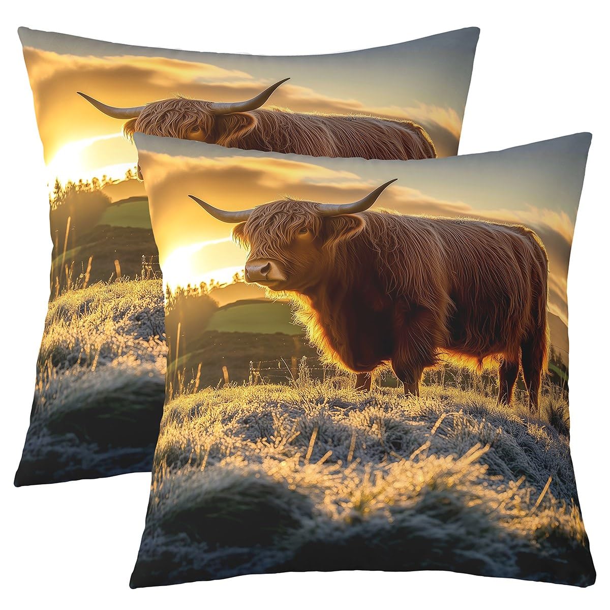 Housse de coussin vache Highland pour canapé et lit d'adolescent lot de 2 pièces 40x40
