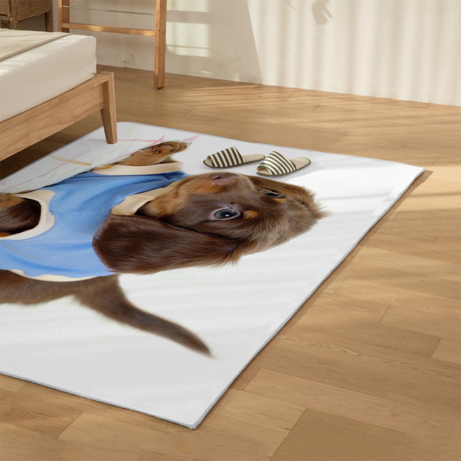 Amazon | カーペット 子犬ミニ犬 ラグ カーペット 1.5畳 ミニ犬 絨毯 Amazon | カーペット 子犬ミニ犬 ラグ カーペット 1.5畳 ミニ犬 絨毯