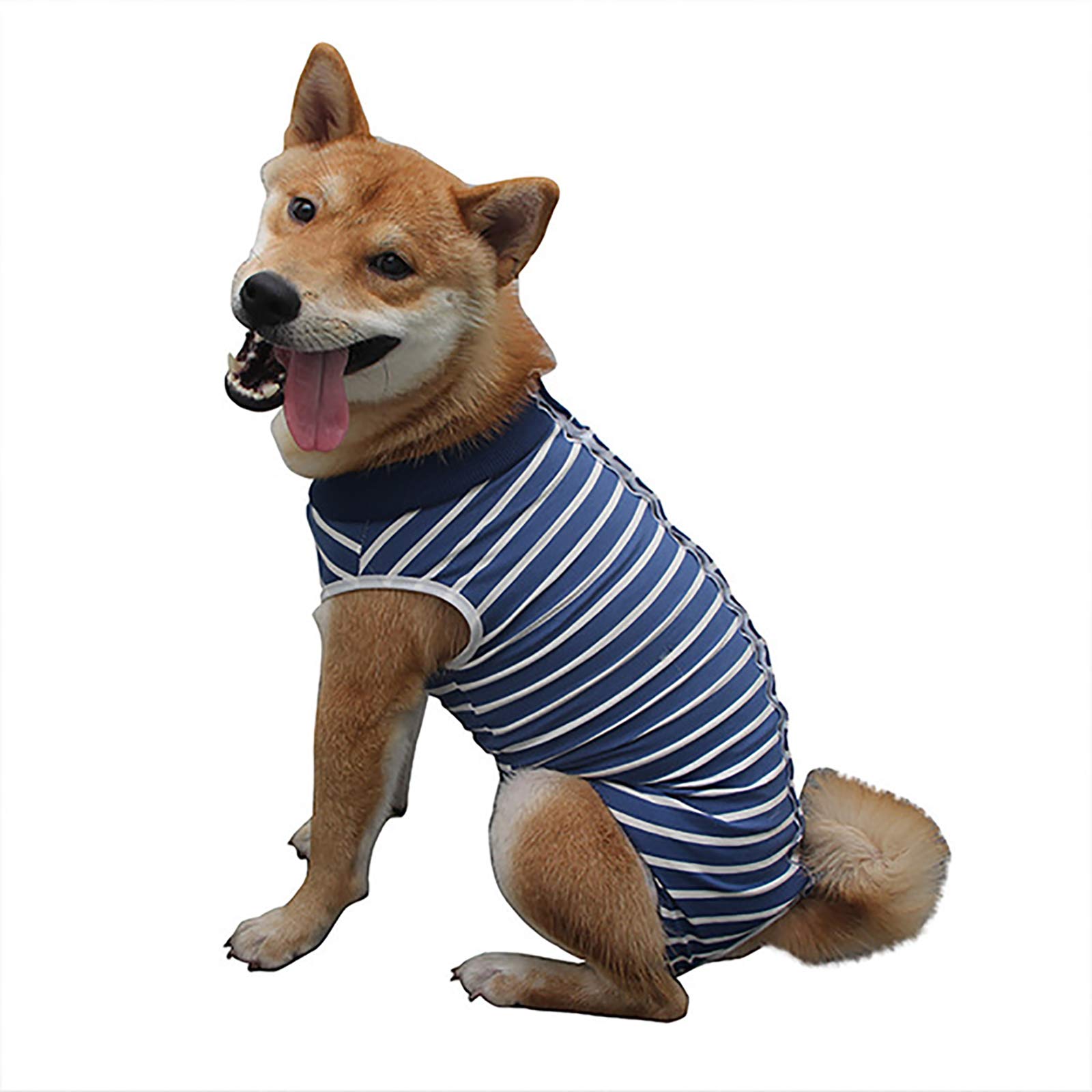 Vêtements post-opératoires pour chiens de compagnie convalescents taille L bleu
