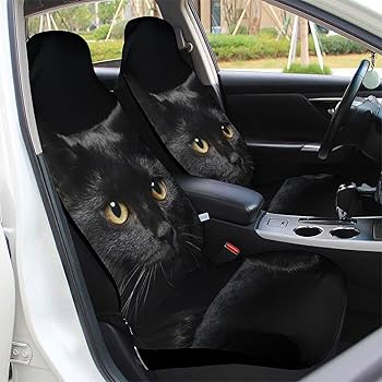 黒額縁ご確認ページ　「プカプカ猫」 猫の里親募集】大阪府・雑種・幸せのかぎしっぽの黒猫ちゃん（ID