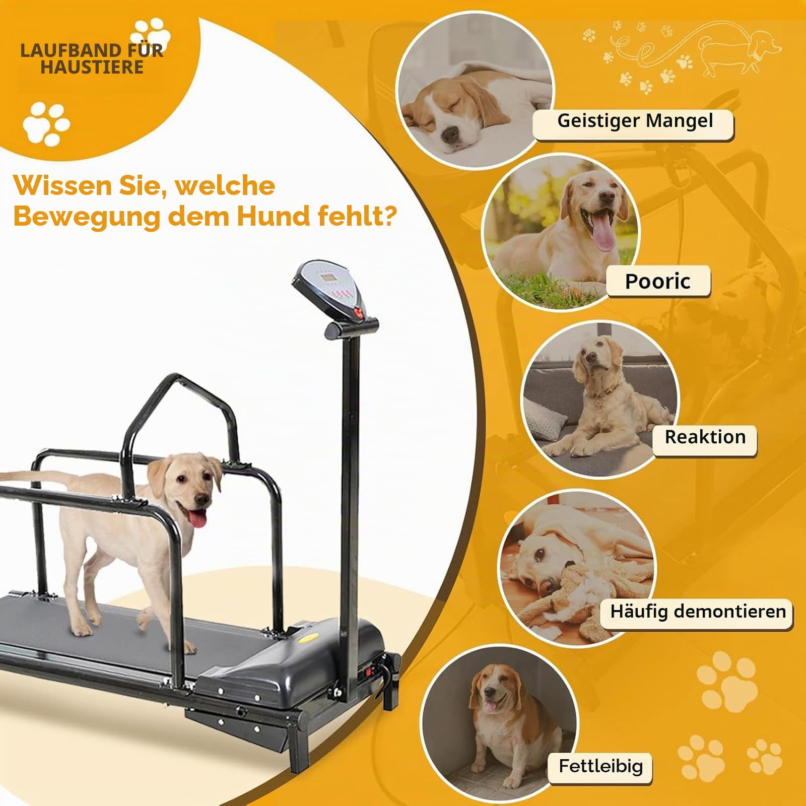 Laufband für Hunde, für kleine Hunde, multifunktionales Heimlaufband für Haustiere, 0,8–6 km/h einstellbar, Laufmaschine für Haustiere für drinnen und draußen, bis zu 80 kg,Pink