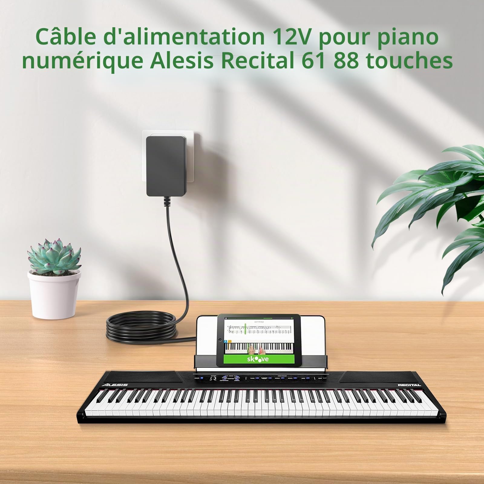 Adaptateur 12V pour Clavier Piano numérique Williams Legato Plus 88 Touches | Pour Alesis Recital 88-Key 61-Key Digital Piano Keyboard with Full-Sized Keys IO 14 IO 26 Recording Interfac