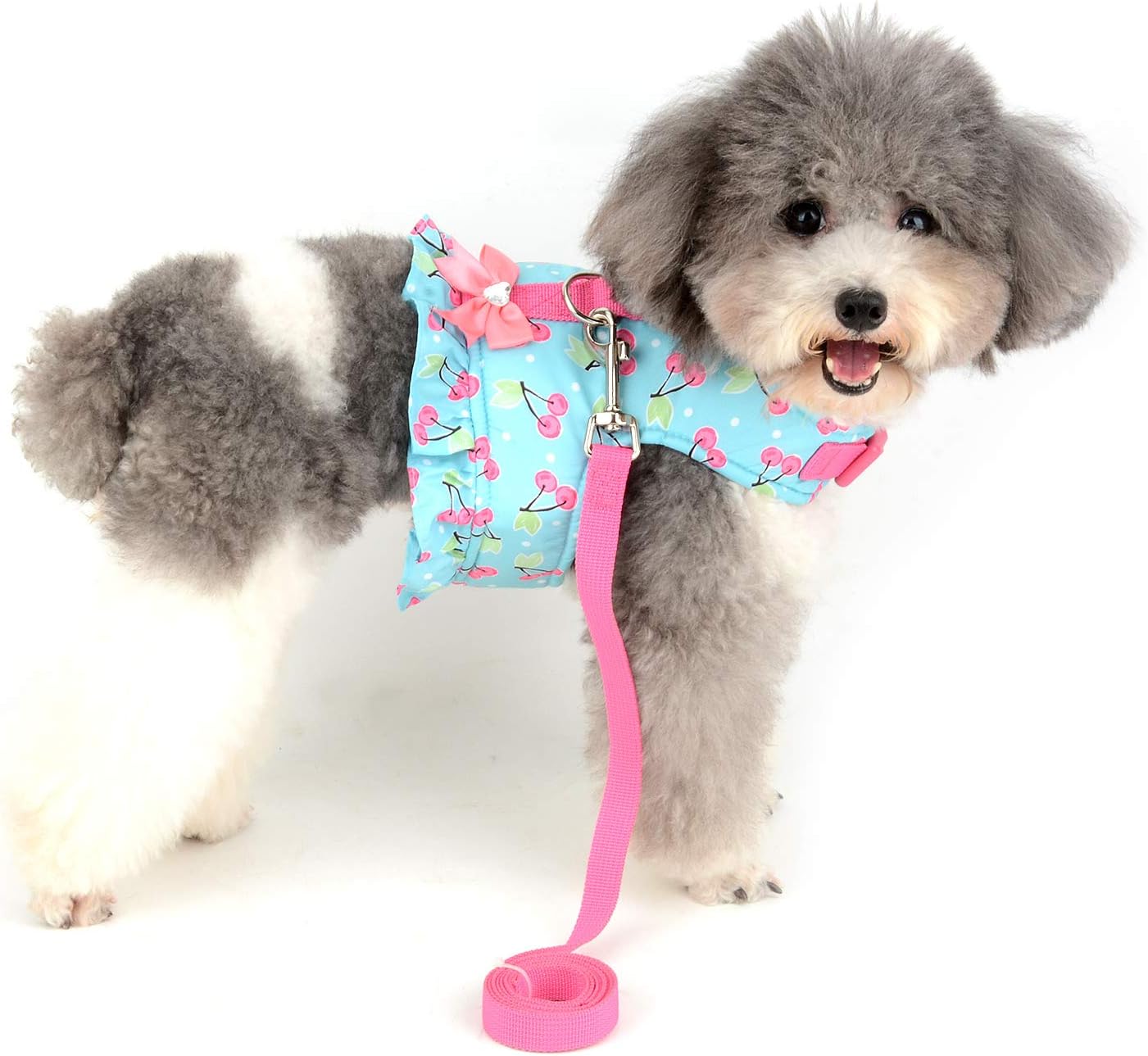 Zunea No Pull Small Dog Girl Harnesses Dress Escape Proof Cat Kitten Vest Harness and Leash Set Step-in Soft Puppy Chihuahua Doggie Clothes Outfits for Outdoor Walking (3pcs, XS)