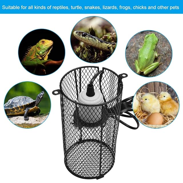 Foto 6 de 8 de Sheens Reptil Malla de Hierro Pantalla de cerámica Soporte de la lámpara de Calentamiento de cerámica…