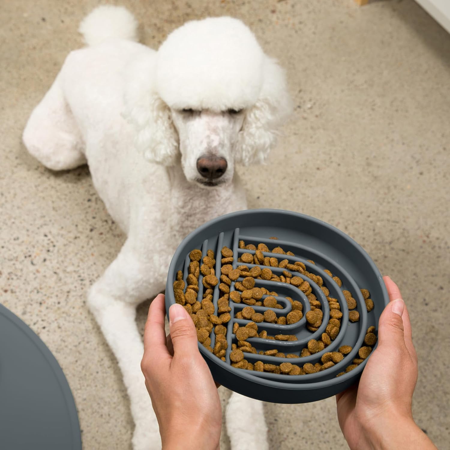 Should We Go? Slow Feeder for Dogs & Puppies, The Slowdown Bowl Silicone Slow Eating, Modern Lick Mat Design, Reduces Gulping, Fits 2.5 Cups 9.5” Across x 1.5” Tall, Mealtime Challenge, Large-Charcoal