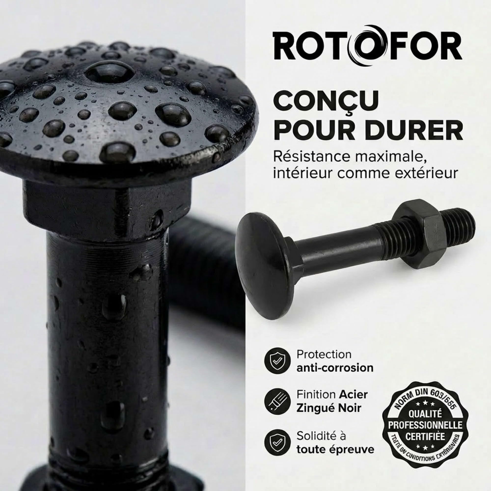 100 Vis tête ronde collet carré zingués Noir - longueur 70 mm