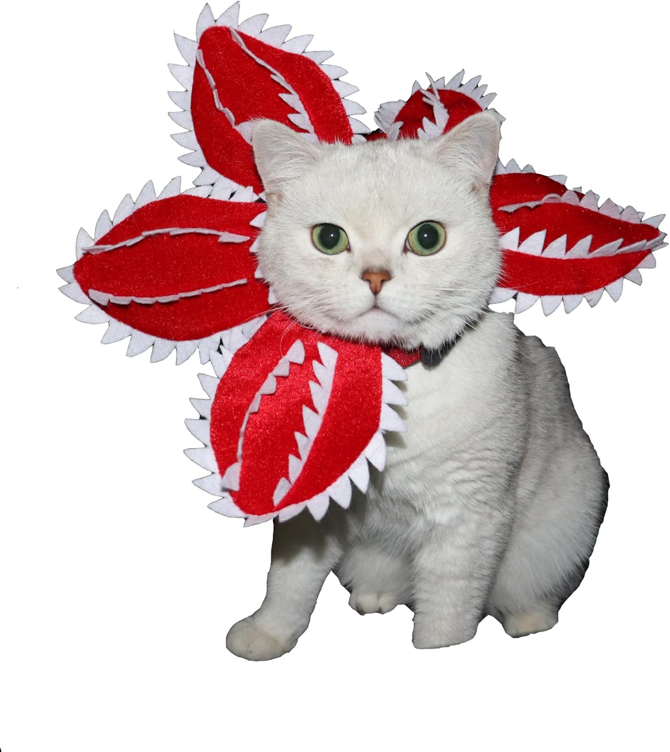 Halloween Dog Hat Headgear Costume Cat Dog Headgear Hat Halloween