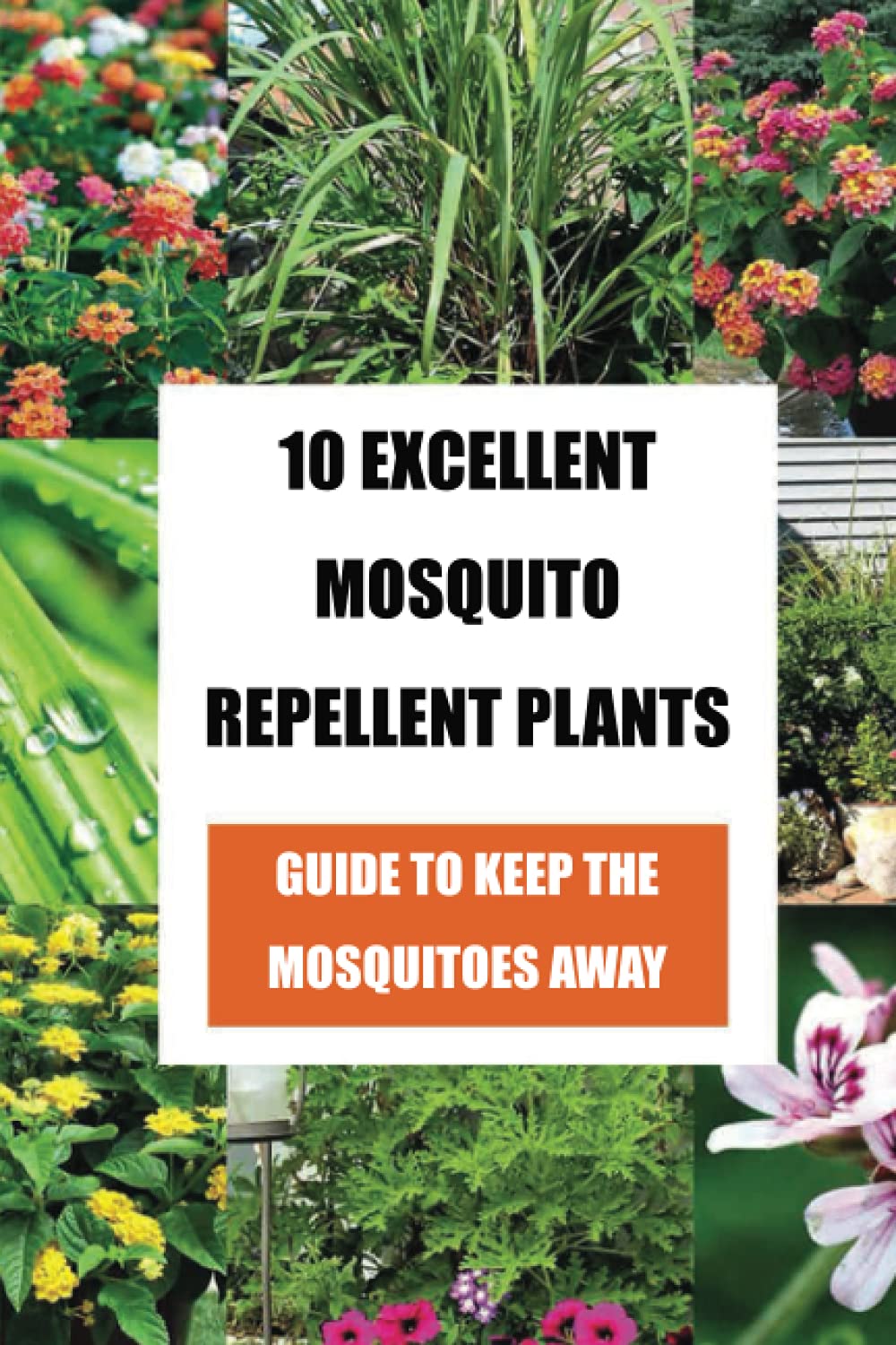 Buy 10 Excellent Mosquito Repellent s guide to Keep The Mosquitoes