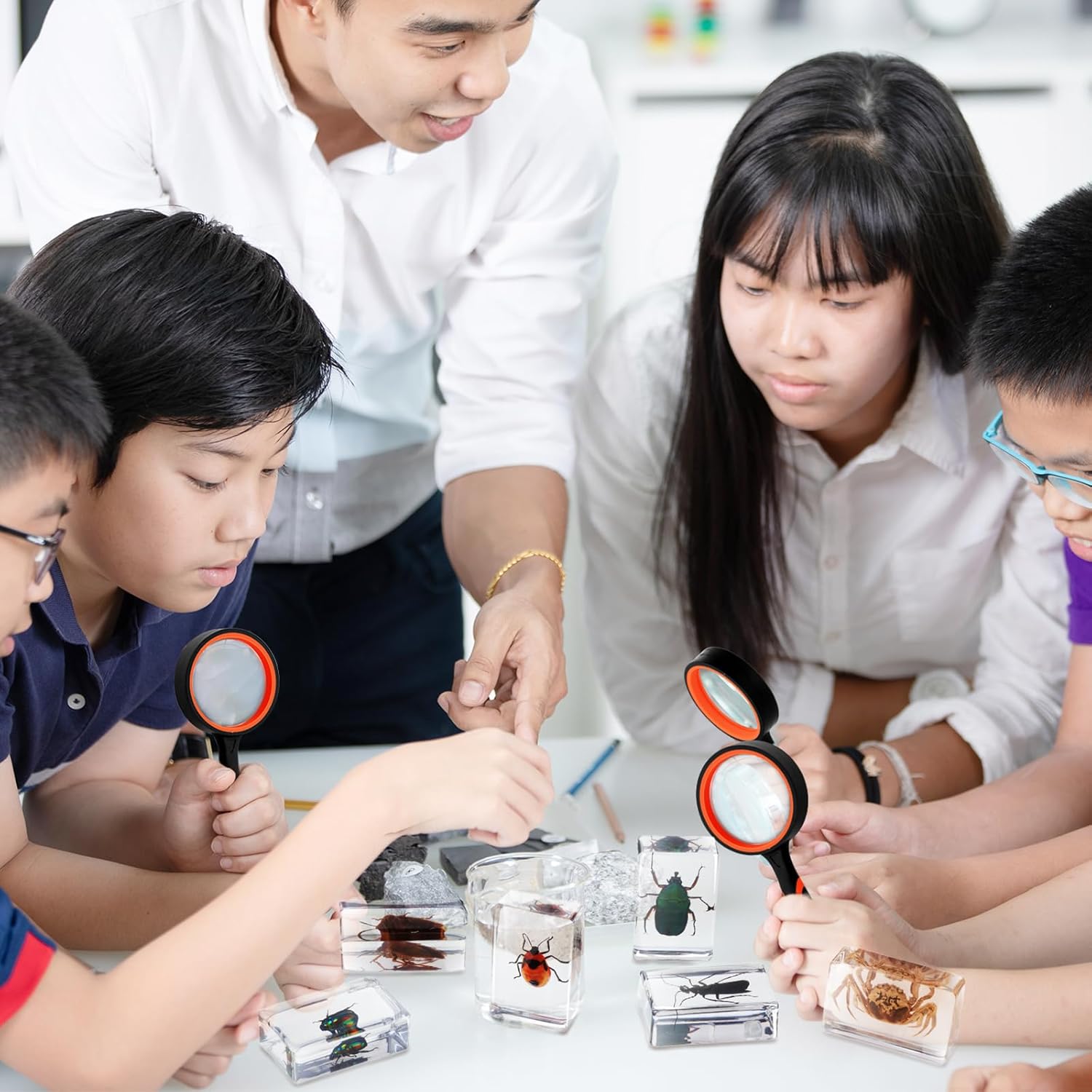 12 Pcs Insect in Resin Specimen Bugs Discovery Kit Collection Paperweight Bug with Information Flash Cards Preserved in Resin with 10x Magnifier for Scientific Educational Display Supplies