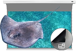 Vividstorm 120-inch Projection Screen: Cinematic ALR Experience for Your Home or Office