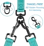 PetBonus Double laisse pour chien, Pas de double laisse en angle, Plomb d'entraînement réfléchissant, 4 Poignées rembourrées confortables pour 2 Chiens avec bol collapsible et sacs à déchets (Turquoise, Grand)