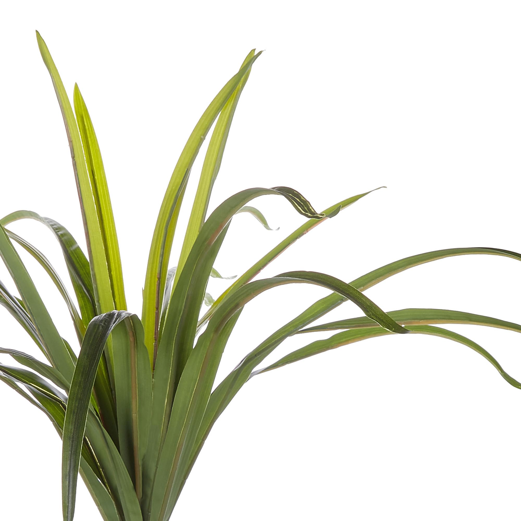 Beliani Dekorative Kunstpflanze in Drachenbaum-Form mit Topf 147 cm grün Dracaena Anita