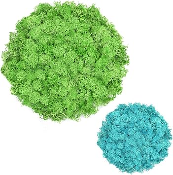 7oz Green and 3.5oz Blue Preserved Moss for Crafts Green Reindeer Moss for Potted Plants, Craft Decorative Decor for Wall Art, Dried