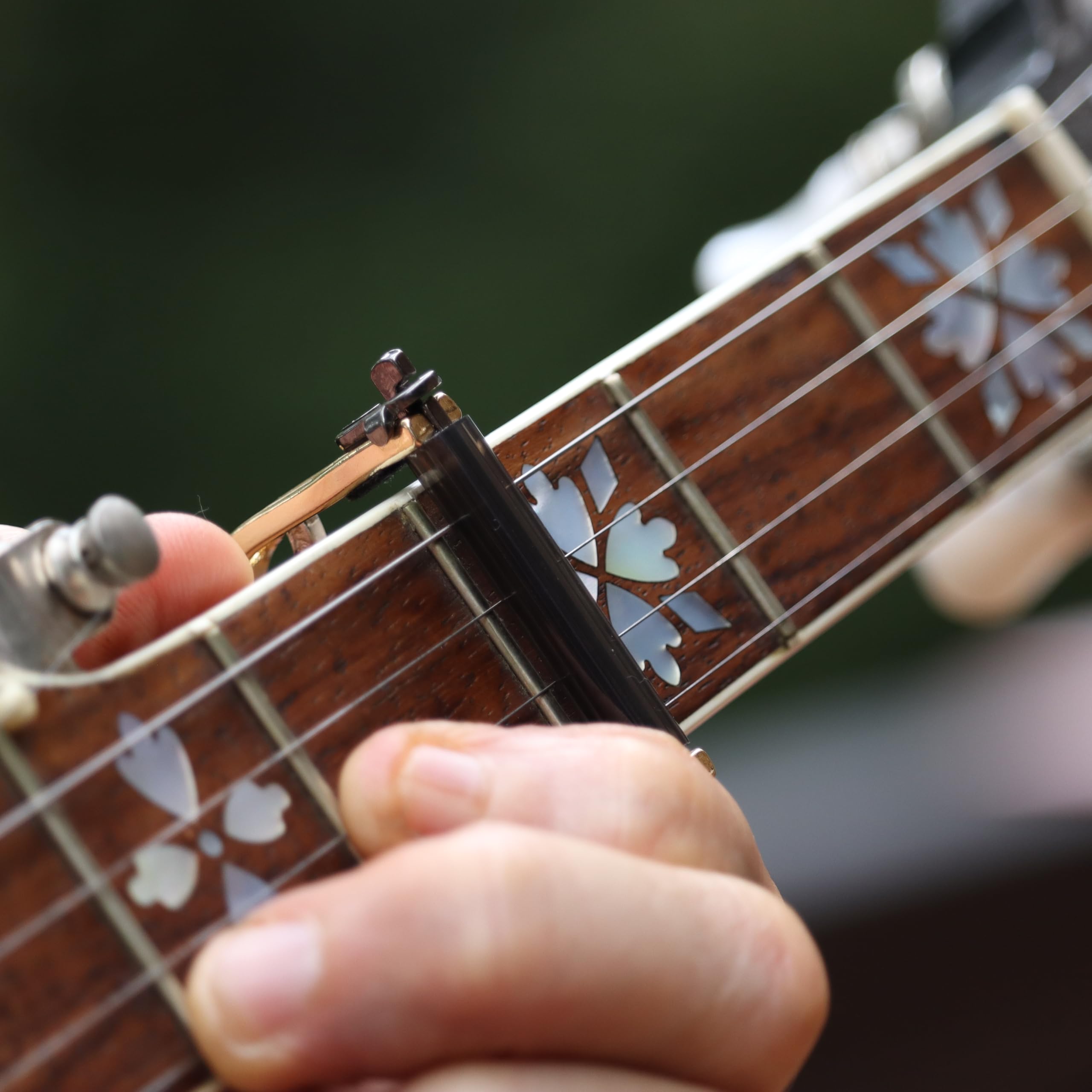 Paige P-BE Original Capo, Banjo/Mandoline, czarny