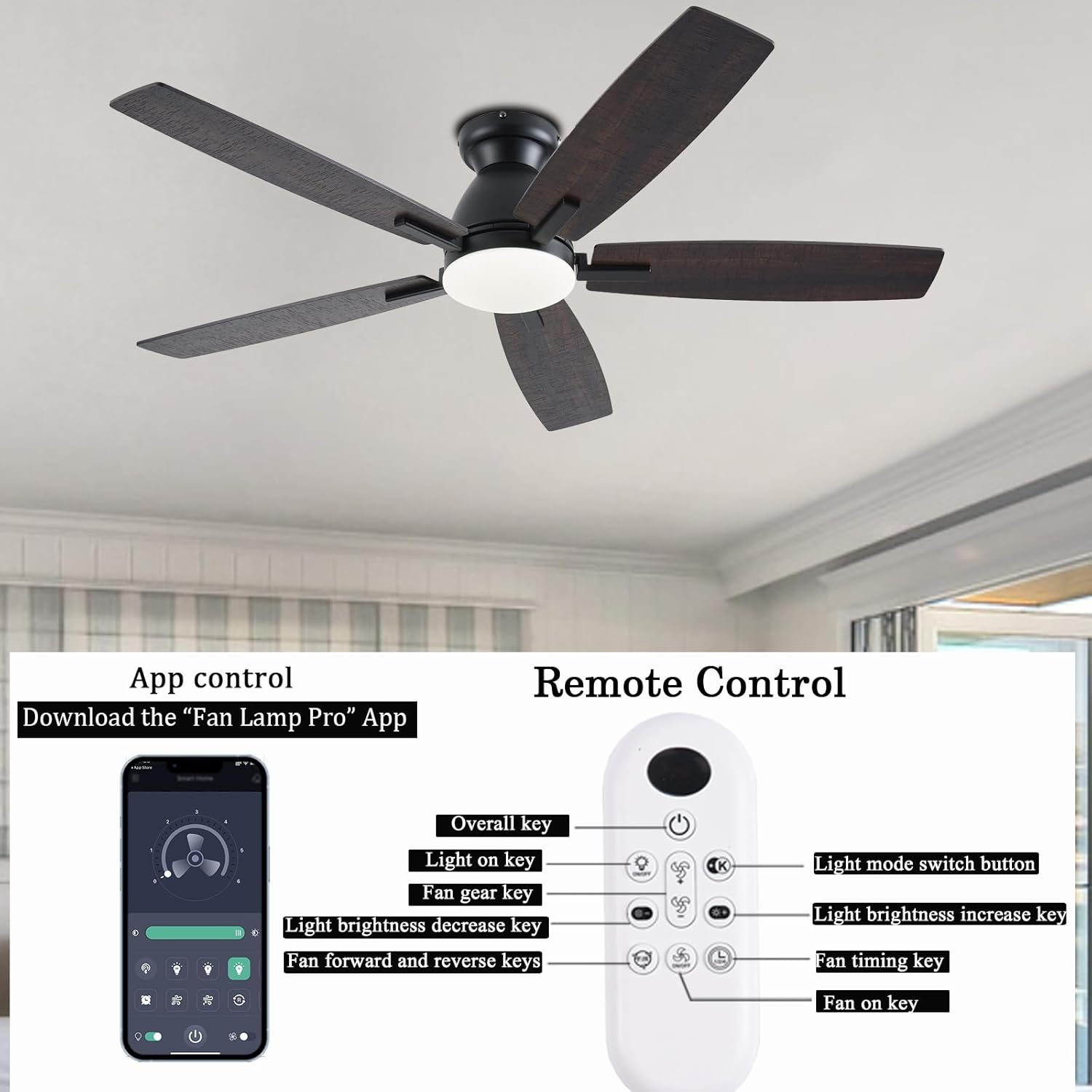 Remote control and app interface
