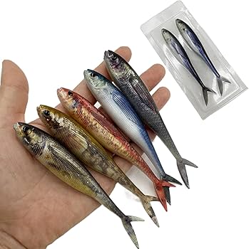 大特価！大量ルアー＆ワームセット Amazon.co.jp: ワーム リアル 3D ソフトルアー リアルベイト