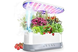 Hydroponics Growing System Mist Humidifier: Indoor Garden Innovation