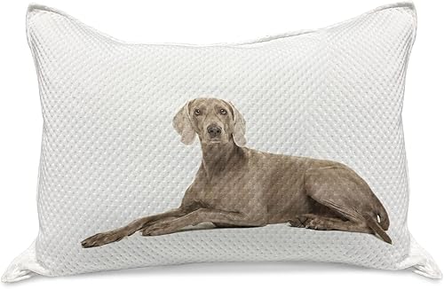 Ambesonne Weimaraner Knitted Quilt Pillowcover, Brown Ghost Hunting Dog Animal Breed Pedigree Silhouette on Plain Backdrop, Standard Queen Size