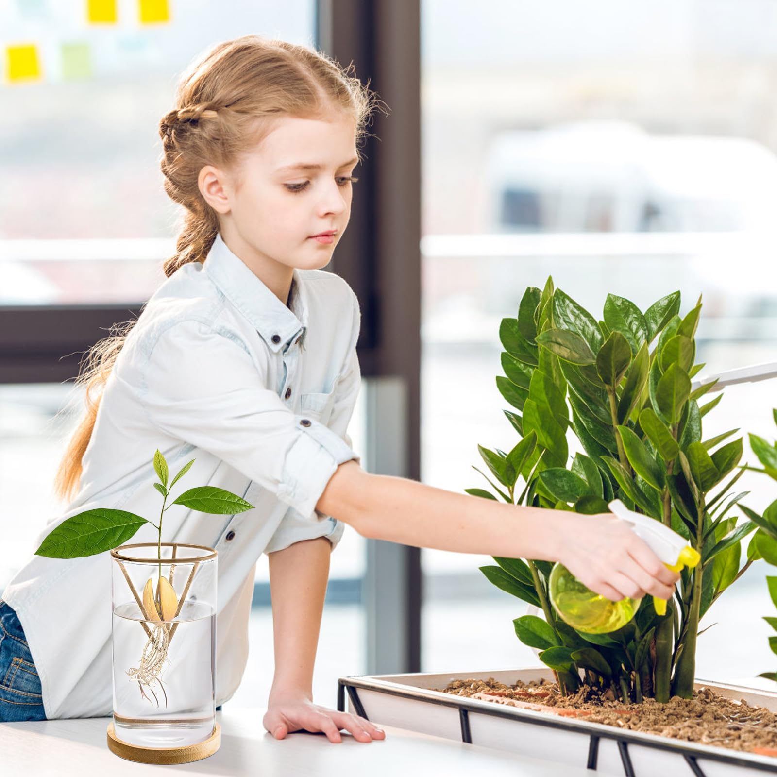 Kits de germination de plantes, kit de démarrage de graines d'avocat avec base en bois, vase en verre pour la maison, le bureau, la décoration de table, facile à utiliser pour cultiver des avocatiers