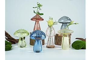 Assorted Mushroom Plant Propagation Stations