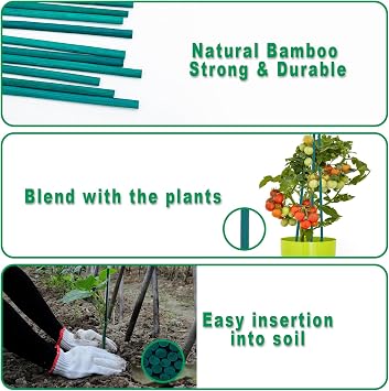 PERSZEN Plant Stakes 50 PCS Garden Green Bamboo Sticks Plant Support Stakes for Indoor and Outdoor Plants, Wooden Sign Posting Flower Pot Garden Stakes(15 25pcs+17 25pcs)