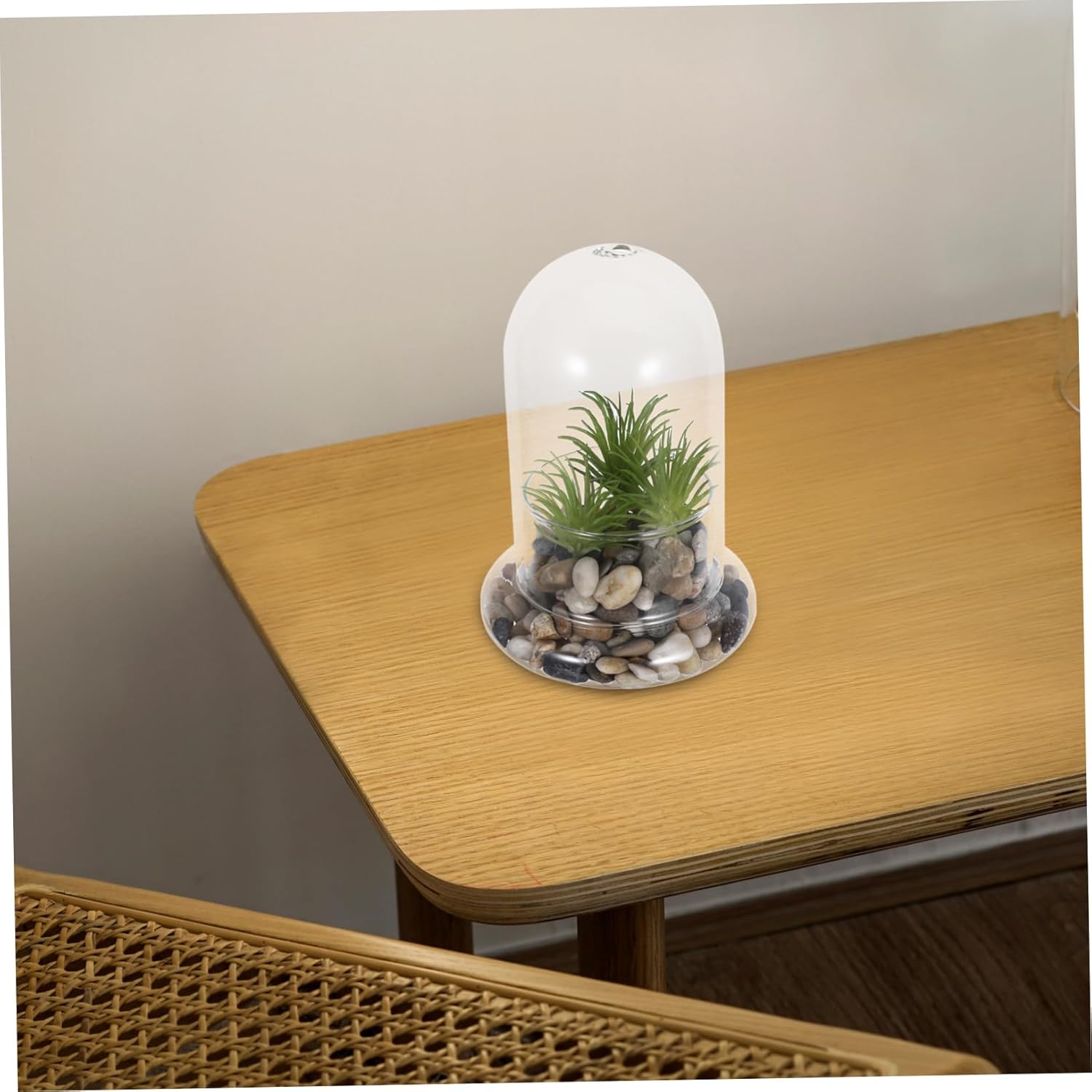 Healifty 2pcs Ecological Bottle Micro Landscape Decoration High Borosilicate Glass DIY Terrarium Jars for Desk Nature Display