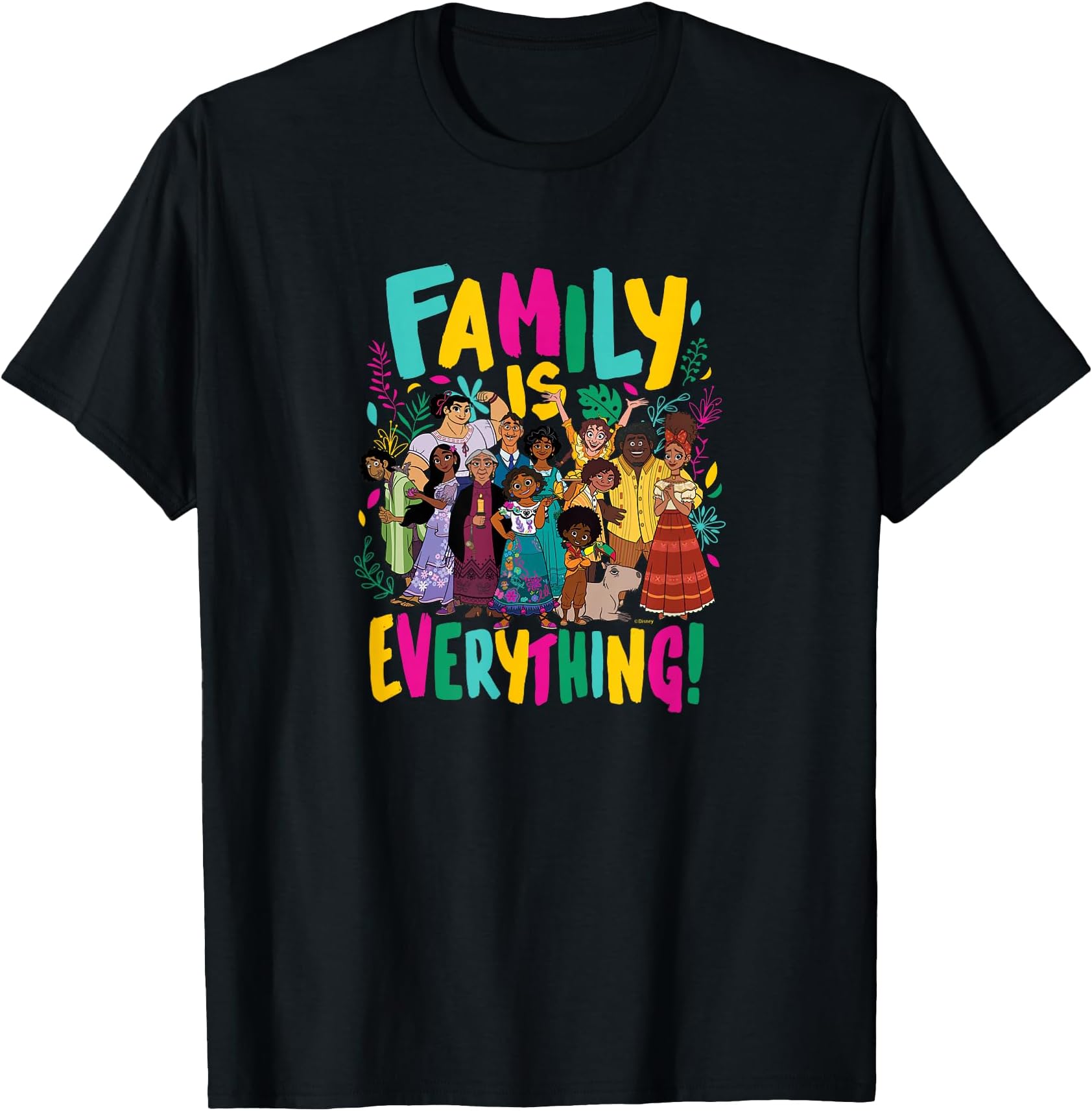 Encanto - Family is Everything! T-Shirt Small