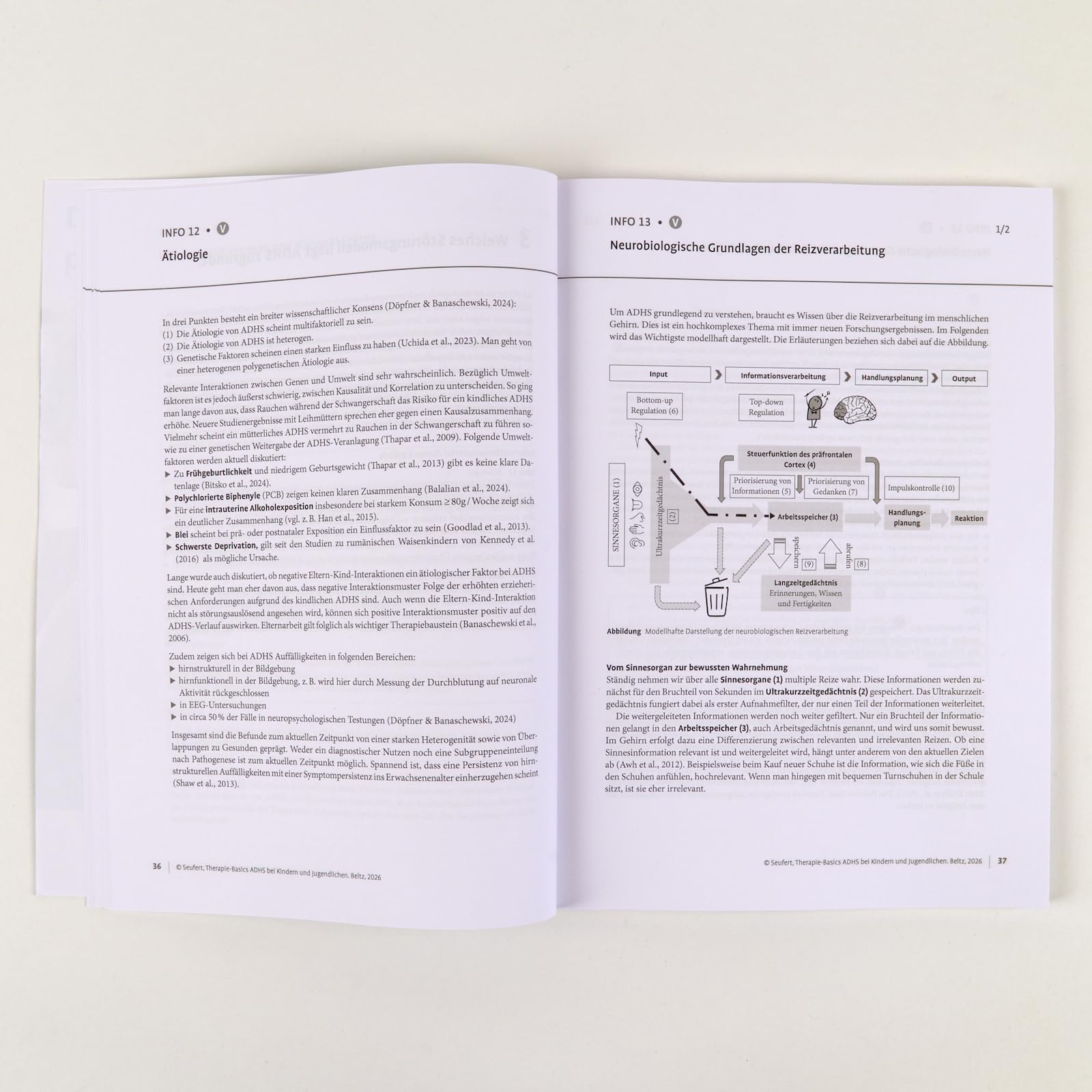 Therapie-Basics ADHS bei Kindern und Jugendlichen: Mit E-Book inside und Arbeitsmaterial (Beltz Therapie-Basics)