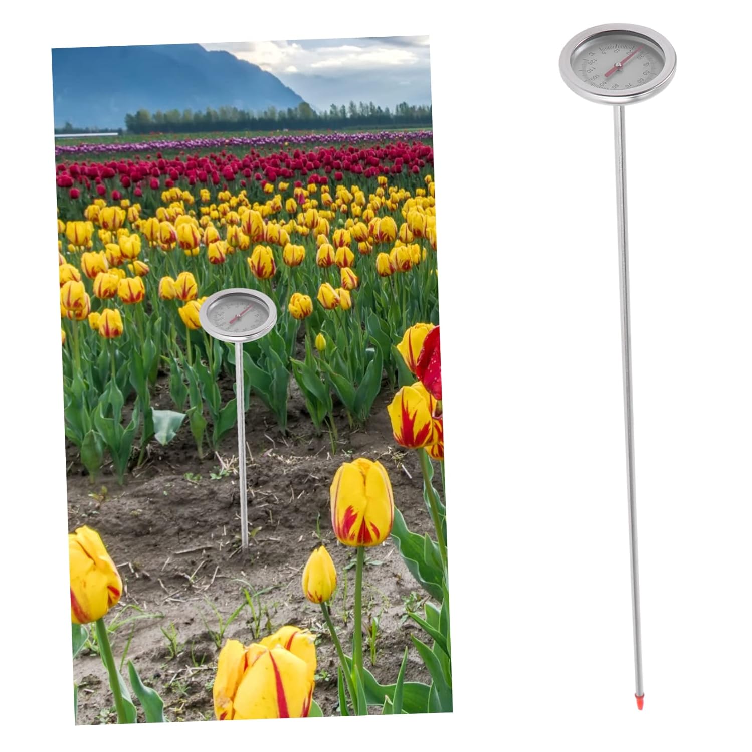 Sosoport 3pcs Gardening Thermometer Soil Temperature Detector Tool No Battery Required Physical Sensing Material Easy Probe Structure for Accurate Measurements Gardening and Composting