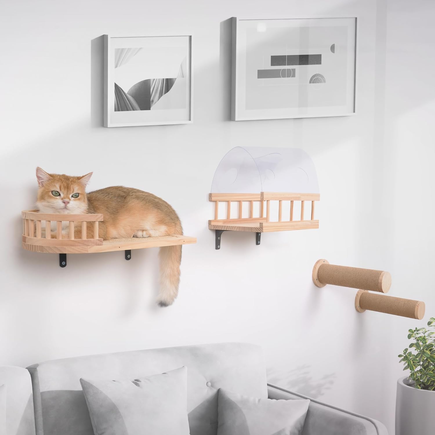 Cat Wall Shelves and Perches with Cat Scratching Post and