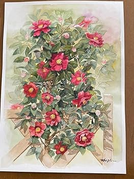 絵画　白椿 Amazon.co.jp: 水彩画 椿 つばき 絵画 冬の絵 ホワイトワトソン紙