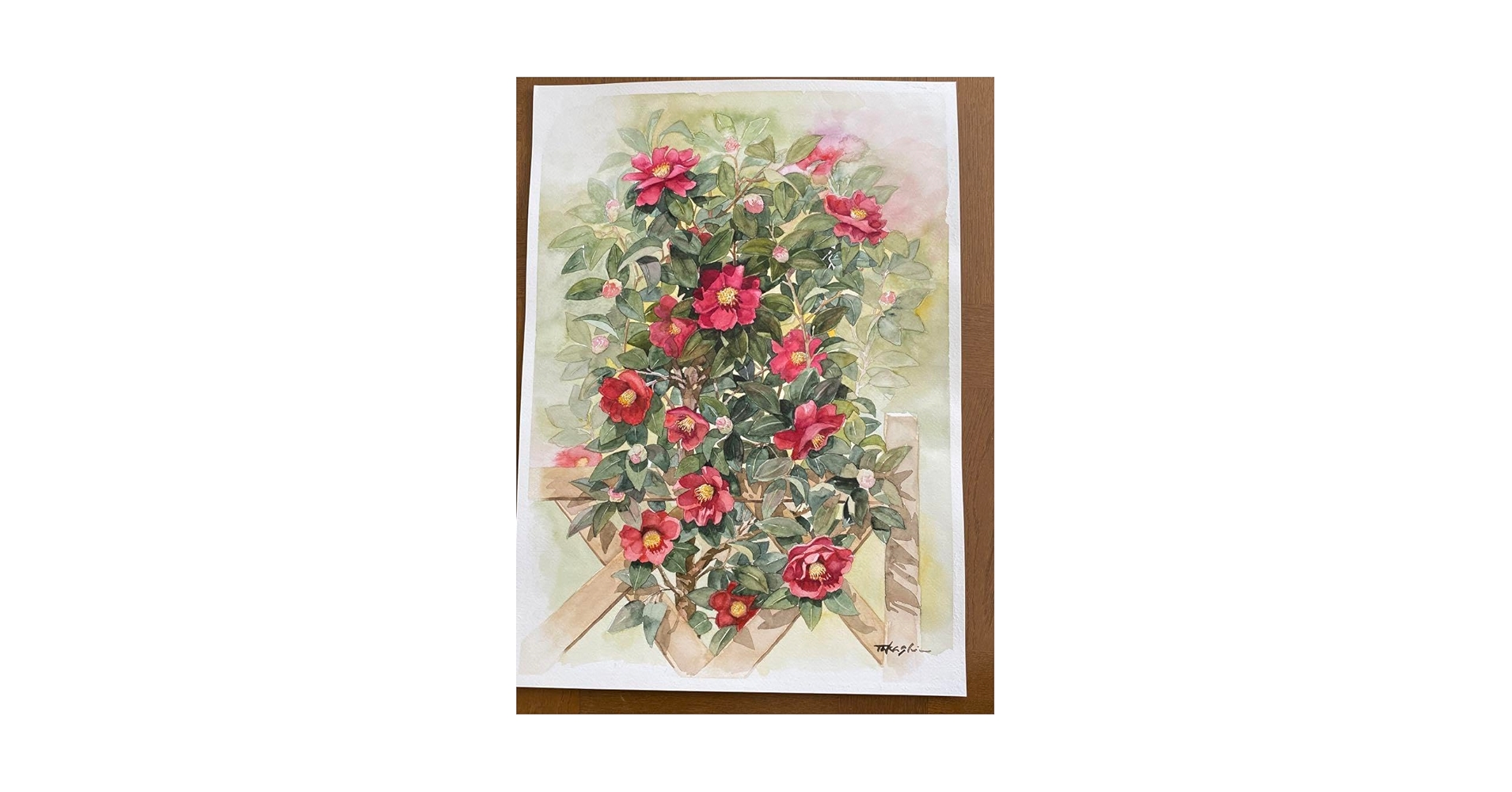 Amazon.co.jp: 水彩画 椿 つばき 絵画 冬の絵 ホワイトワトソン紙