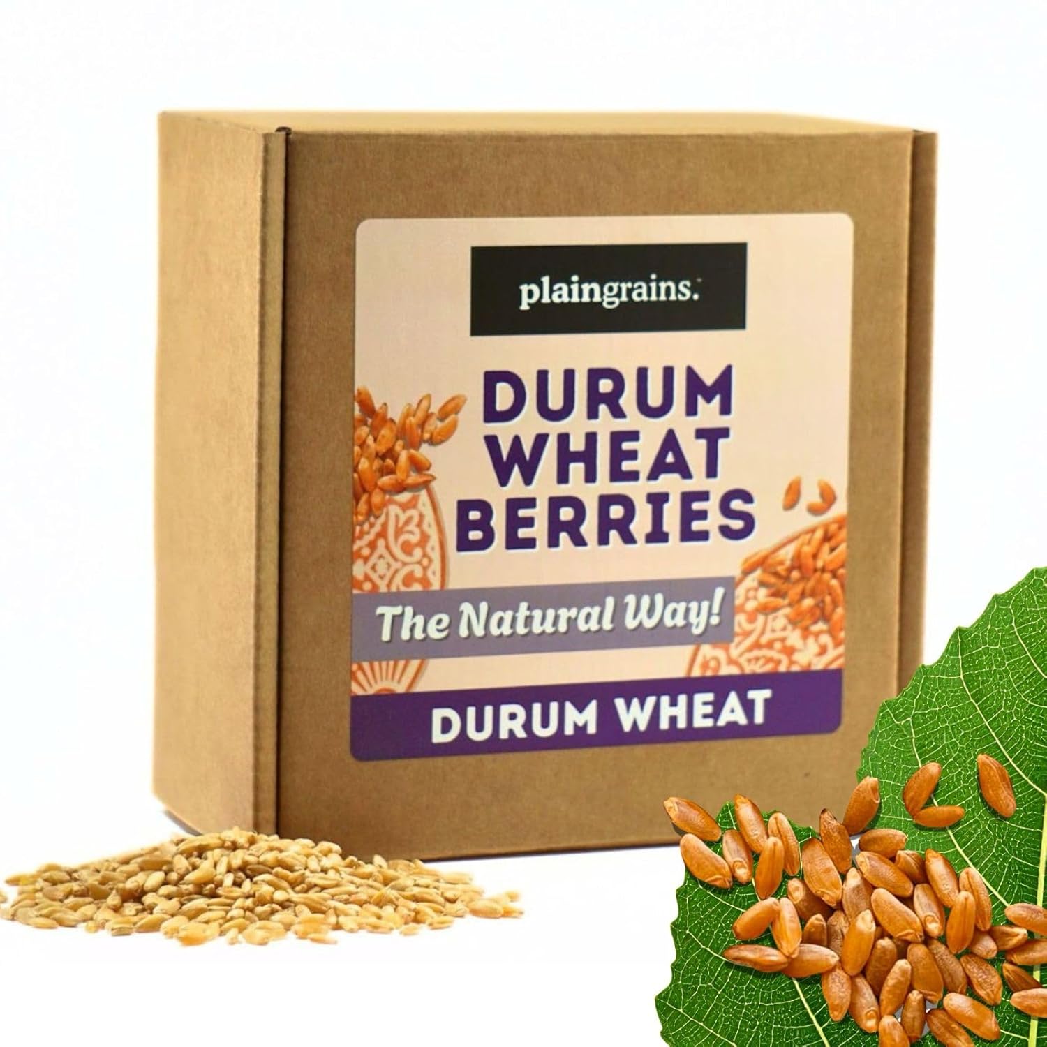 PlainGrains. The Natural Way | 11 LB Dry Hard White Wheat Berries | 12.5% AV Protein by Volume | Uncooked, Unground, Whole Grain | Single Box