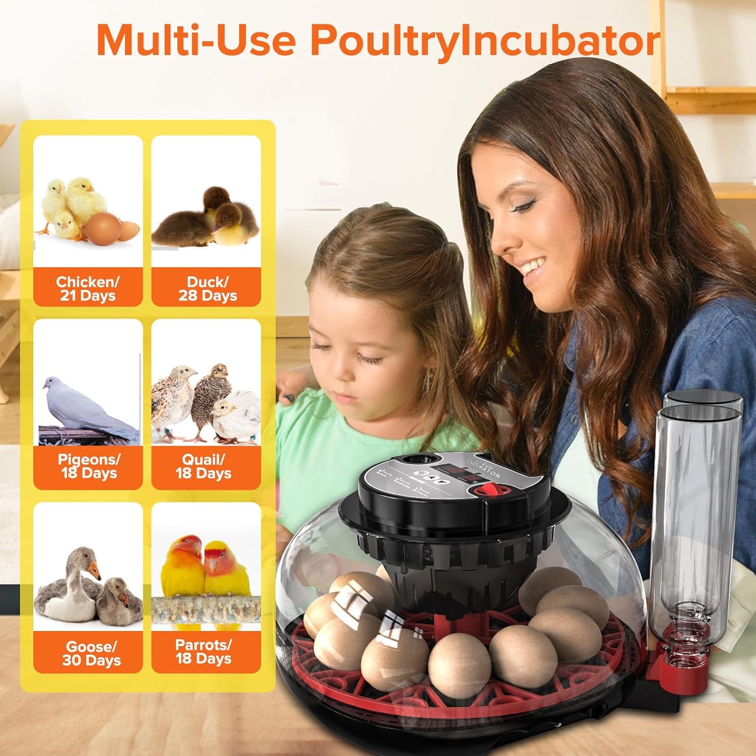 Incubadora Huevos Gallina, Incubadora Automática de 12 Huevos, Volteador Automático de Huevos, Control de Temperatura y Humedad, Visualización de 360° para Huevos de Pollo, Pato y Codorniz